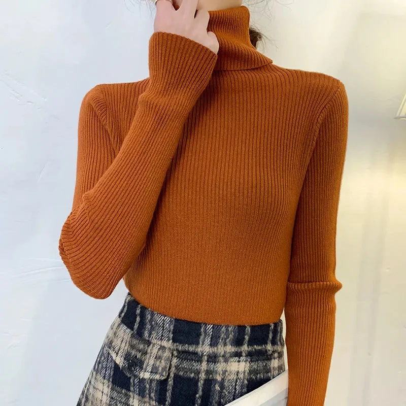 Cozy Women's Turtleneck Sweater