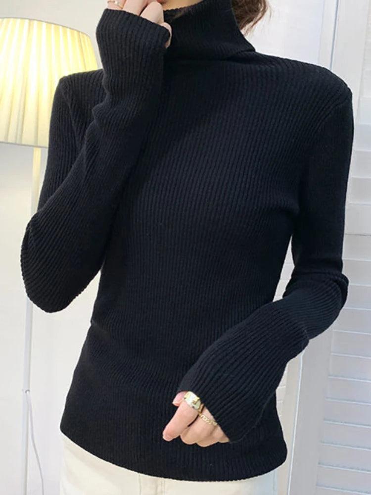 Cozy Women's Turtleneck Sweater